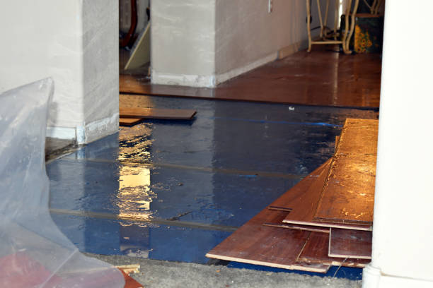Professional Sewage Cleanup technician working in Rockland, MA